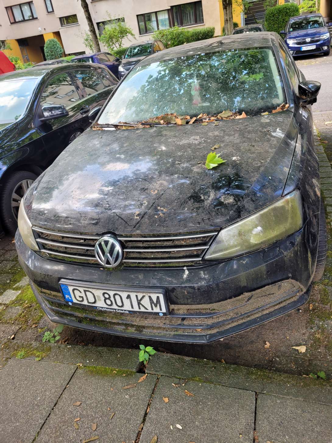 Bild zu gemeldetem Anliegen vom *2025-07-25 15:28:21