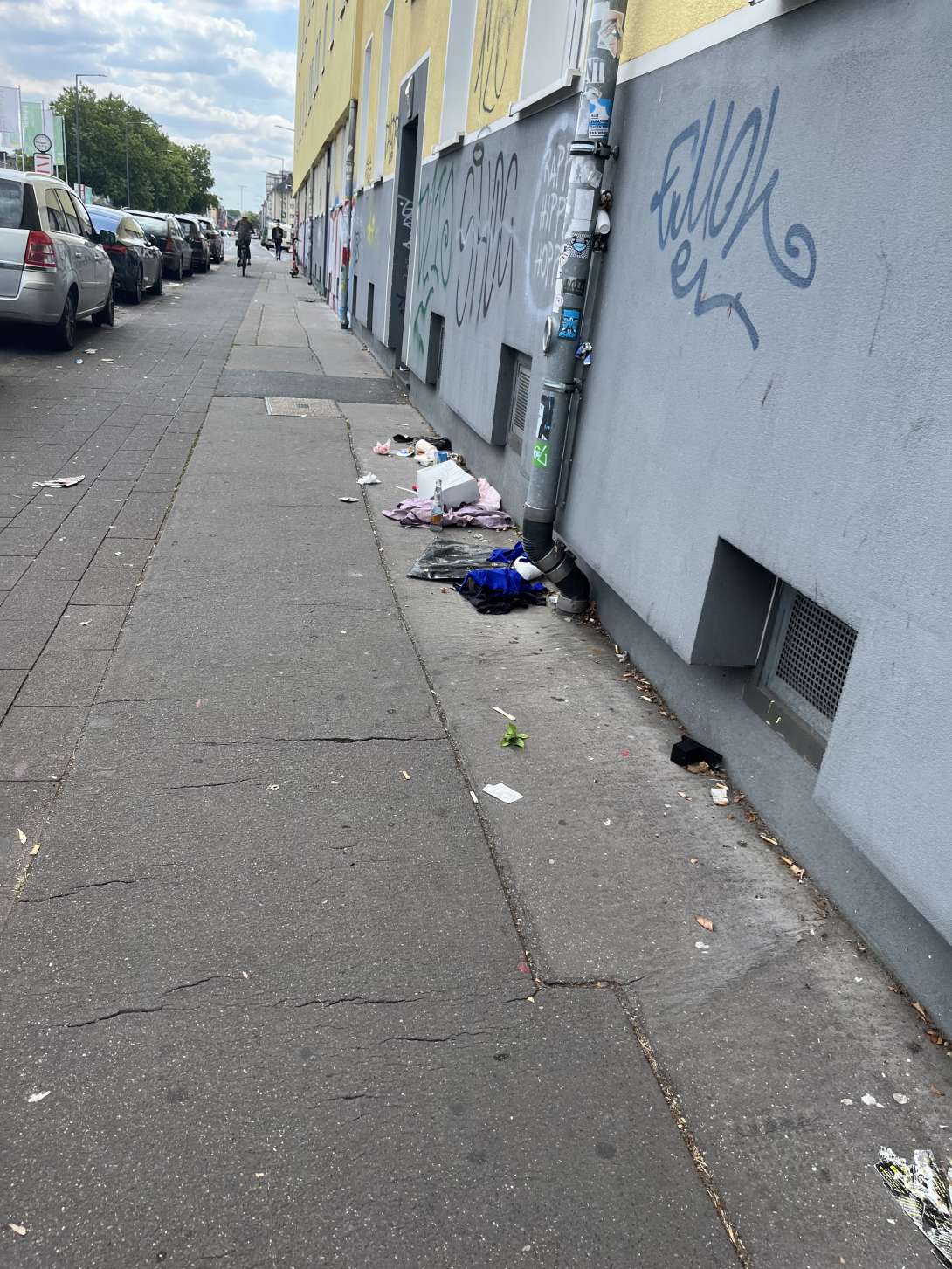 Bild zu gemeldetem Anliegen vom *2025-07-10 22:24:01