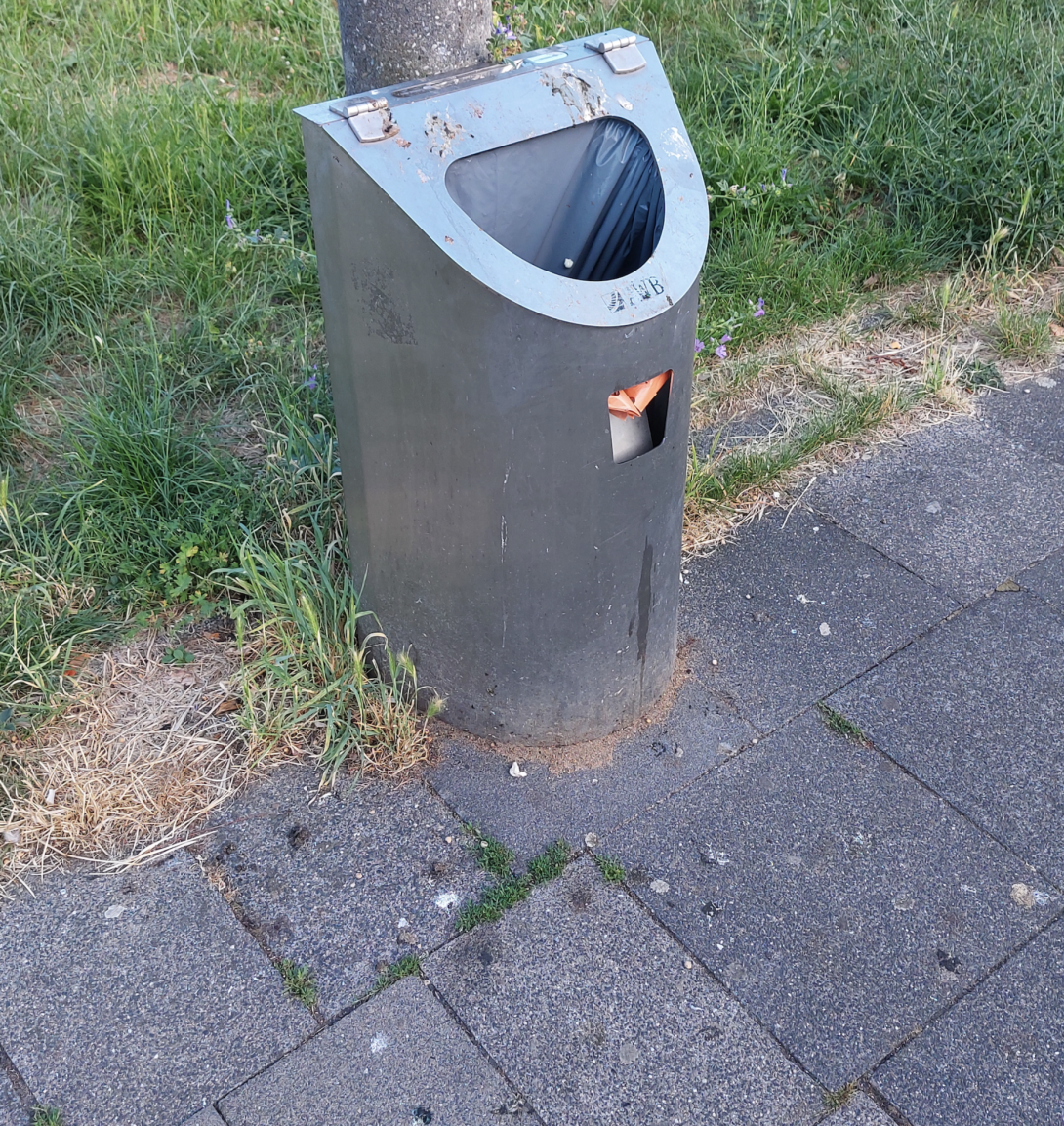 Bild zu gemeldetem Anliegen vom *2025-07-01 09:47:44