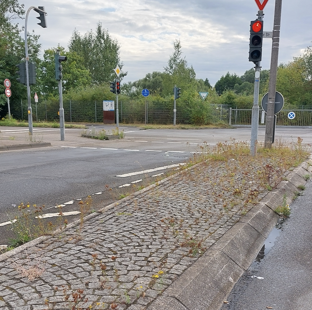 Bild zu gemeldetem Anliegen vom *2025-07-17 01:21:33
