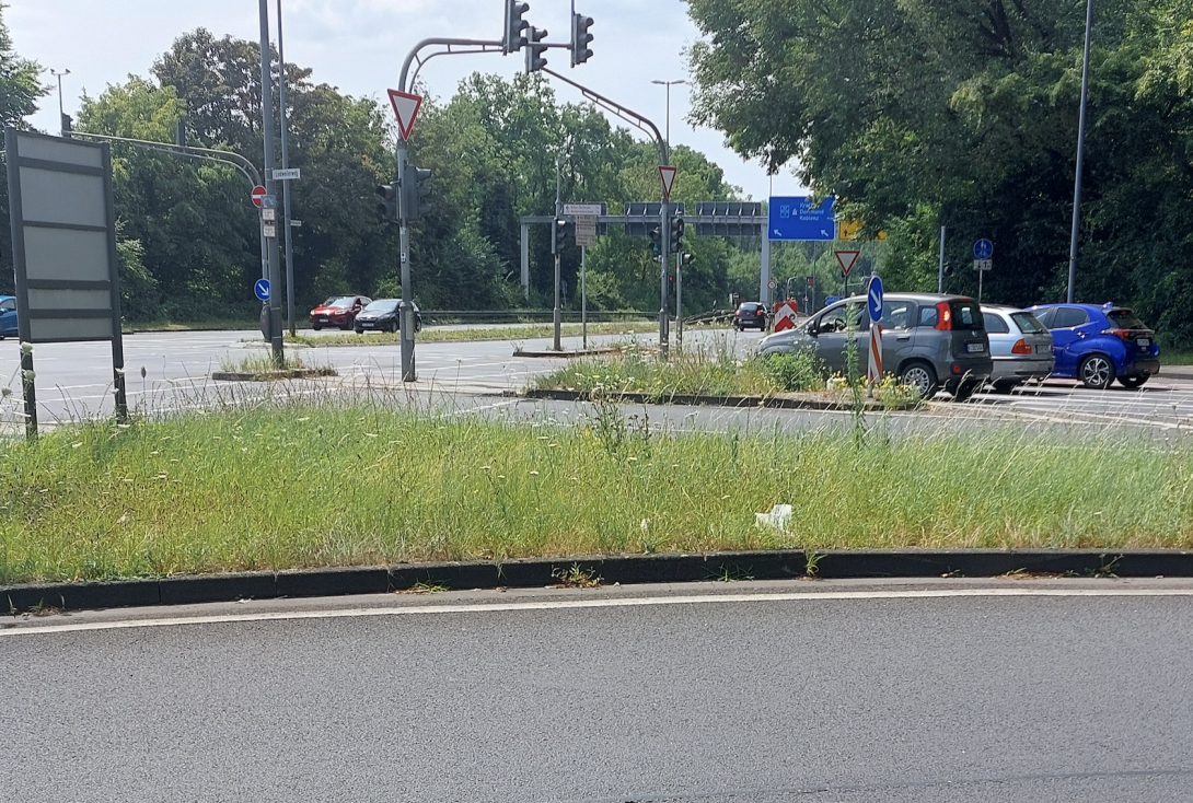 Bild zu gemeldetem Anliegen vom *2025-07-22 17:25:53