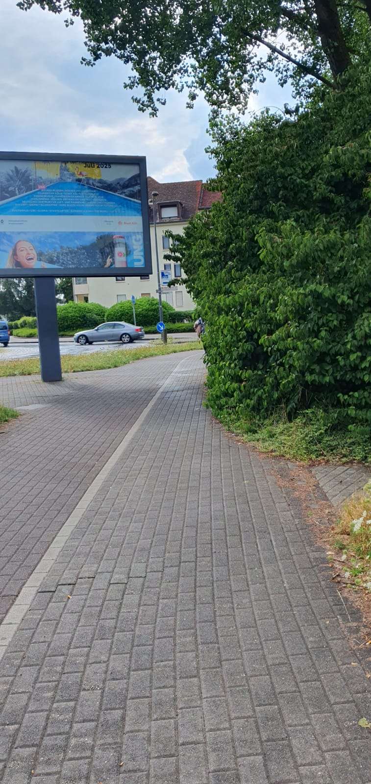 Bild zu gemeldetem Anliegen vom *2025-07-15 10:05:43