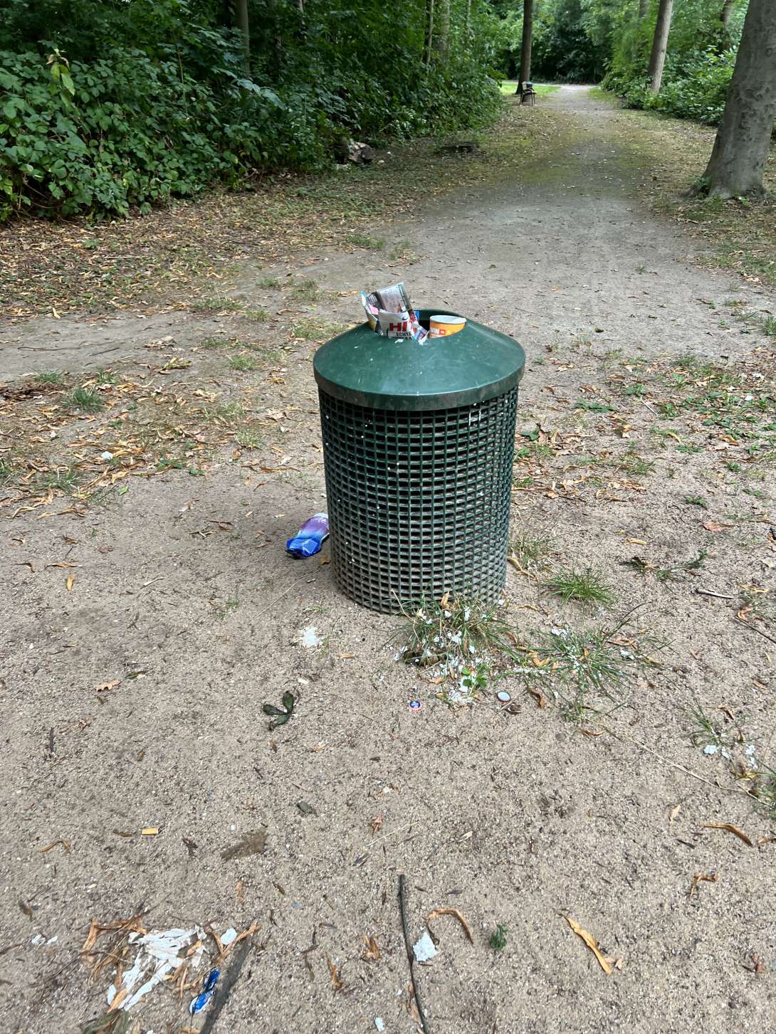 Bild zu gemeldetem Anliegen vom *2025-07-28 09:17:53
