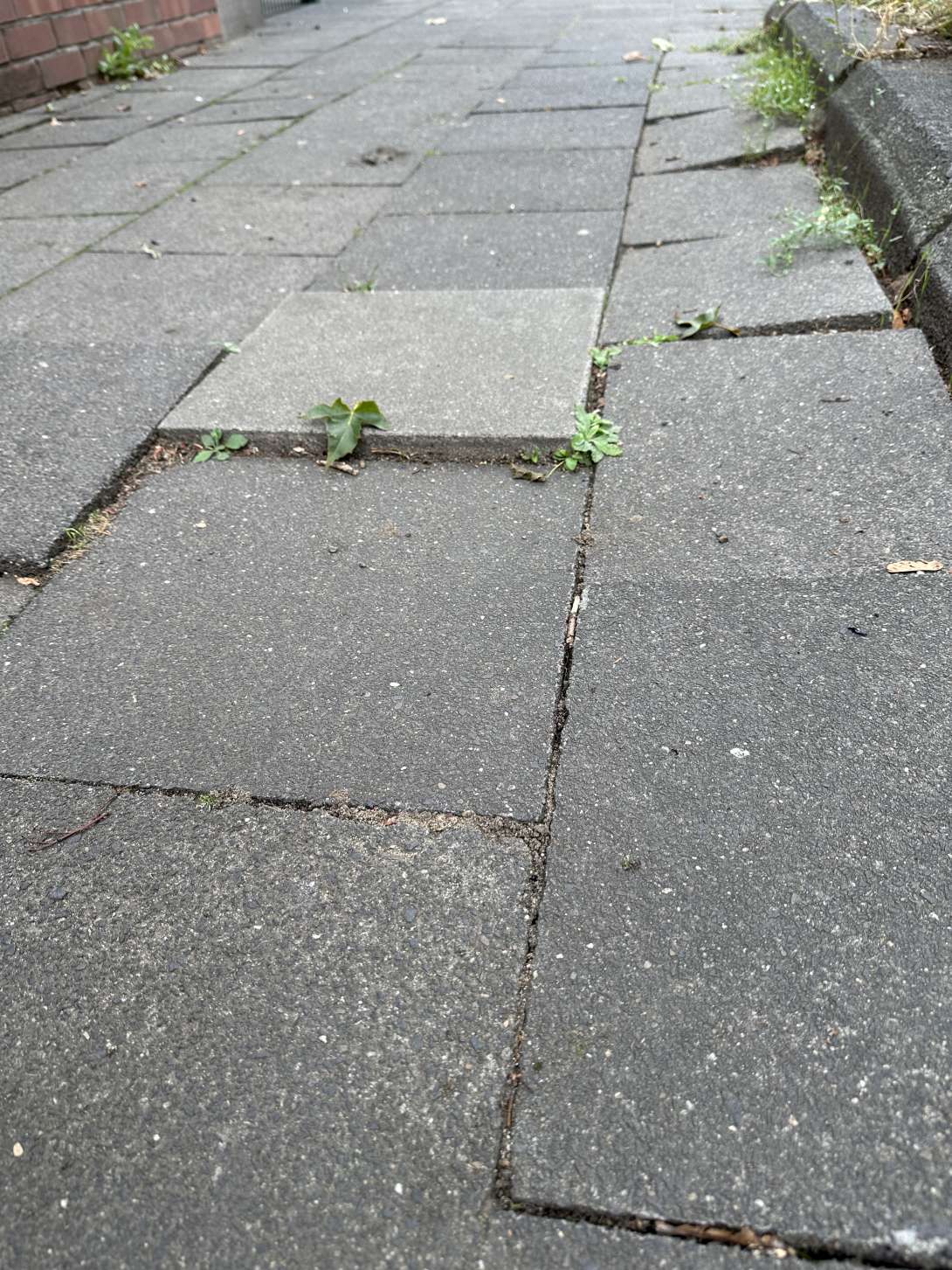 Bild zu gemeldetem Anliegen vom *2025-07-31 15:36:26