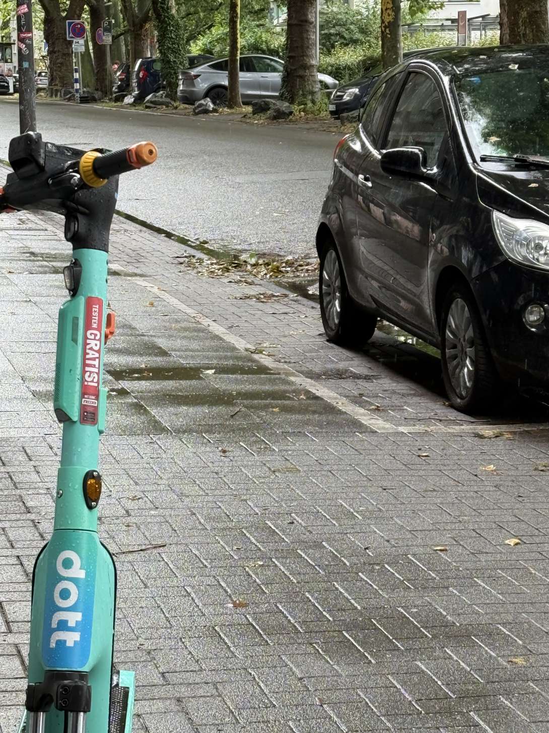 Bild zu gemeldetem Anliegen vom *2025-07-07 12:28:04