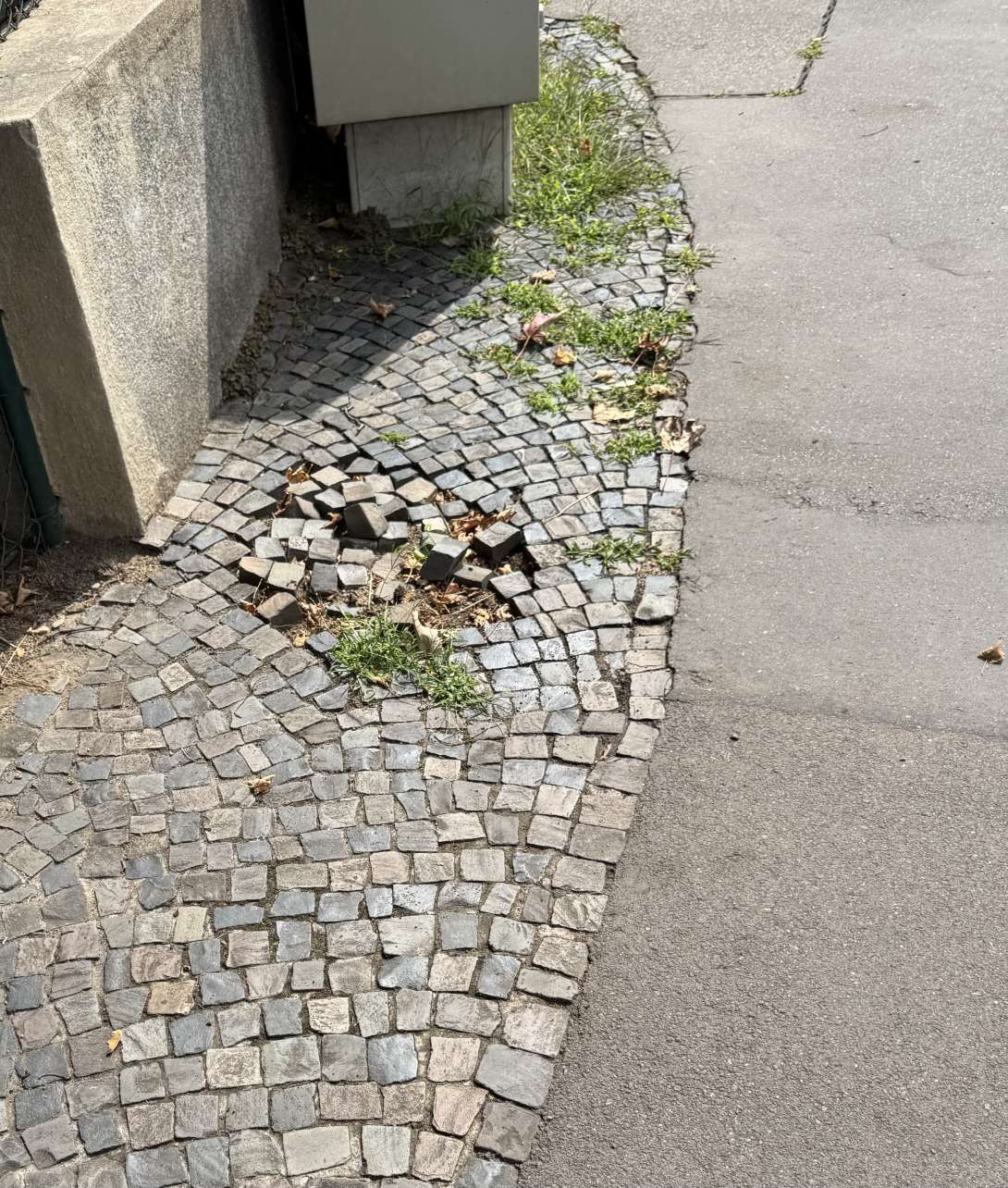 Bild zu gemeldetem Anliegen vom *2025-07-31 09:32:16