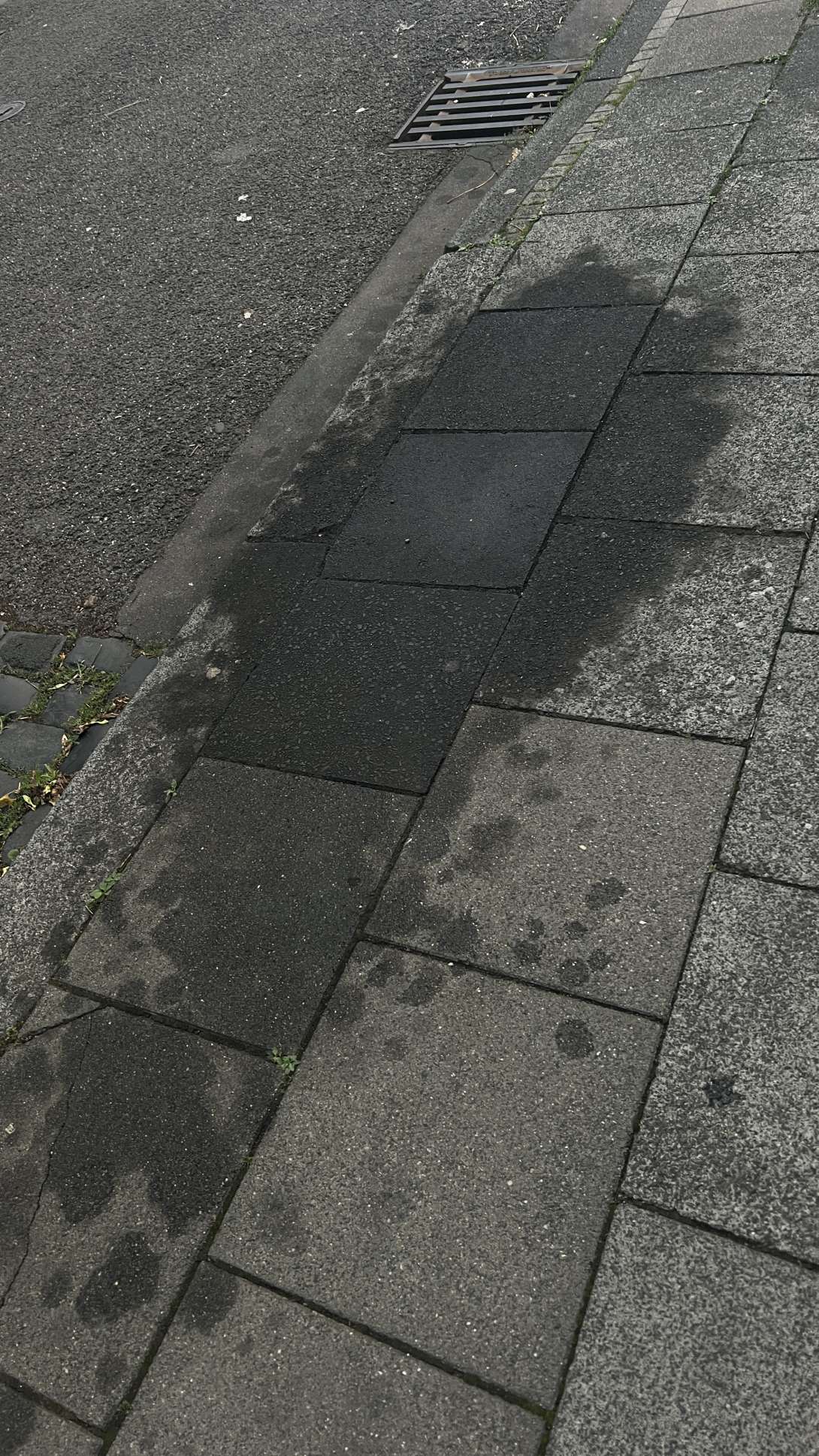 Bild zu gemeldetem Anliegen vom *2025-07-25 16:59:48