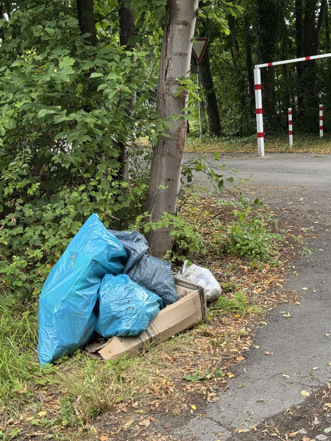 Bild zu gemeldetem Anliegen vom *2025-07-09 13:58:21