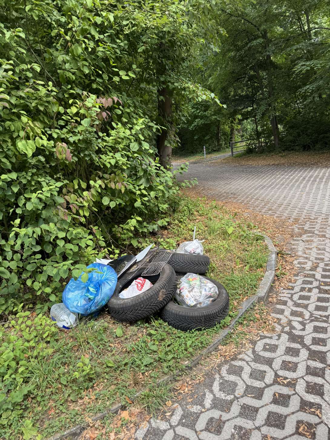 Bild zu gemeldetem Anliegen vom *2025-07-16 13:39:56