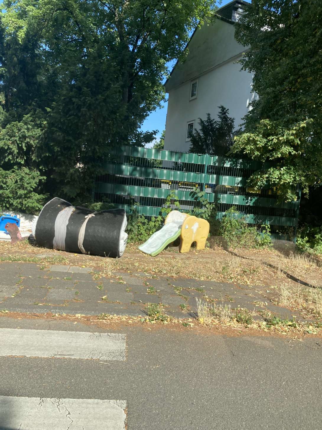 Bild zu gemeldetem Anliegen vom *2025-07-03 17:46:57