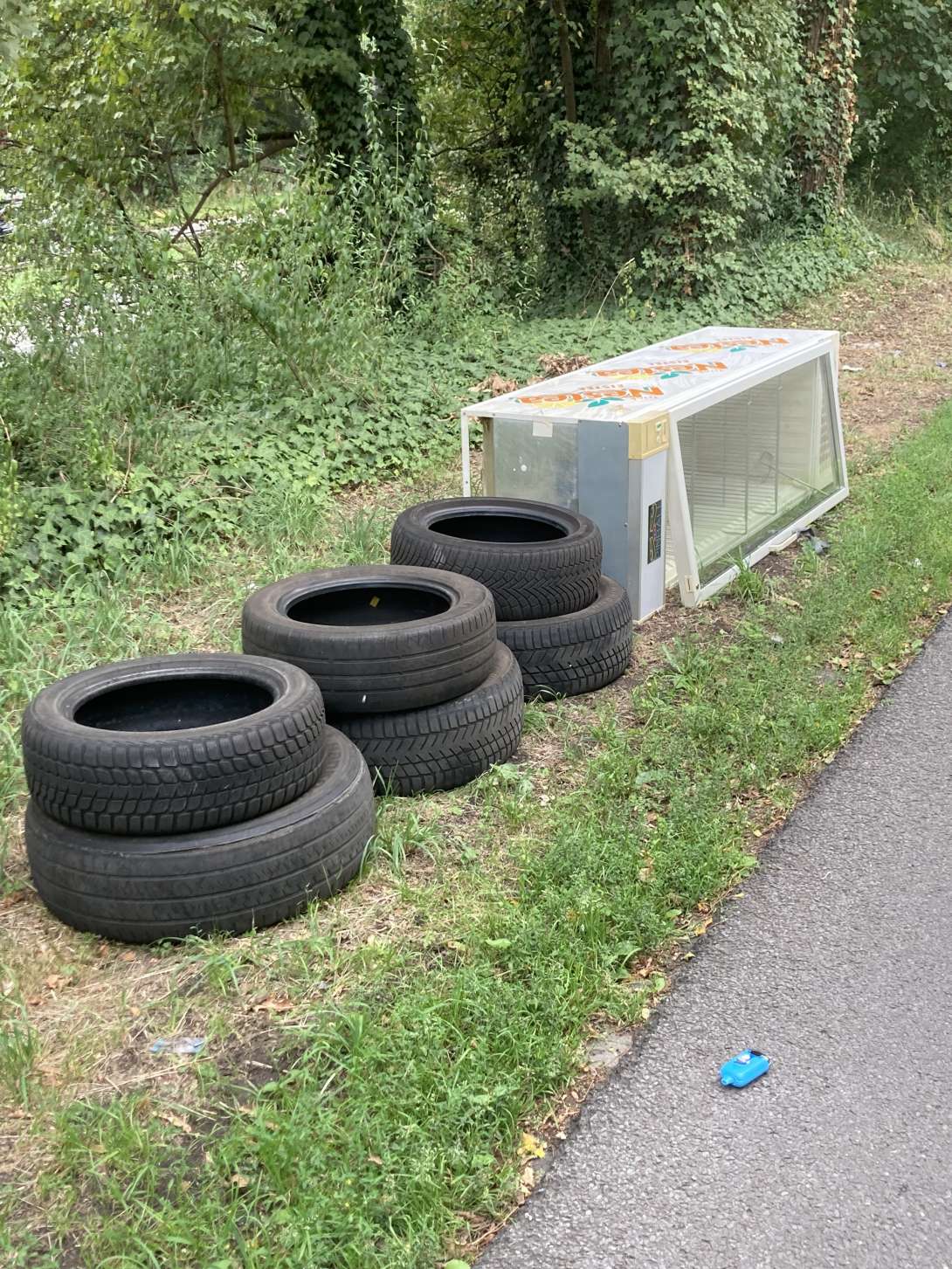 Bild zu gemeldetem Anliegen vom *2025-07-19 18:29:46