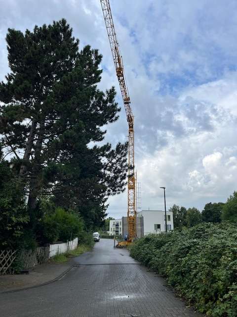 Bild zu gemeldetem Anliegen vom *2025-07-31 19:55:51