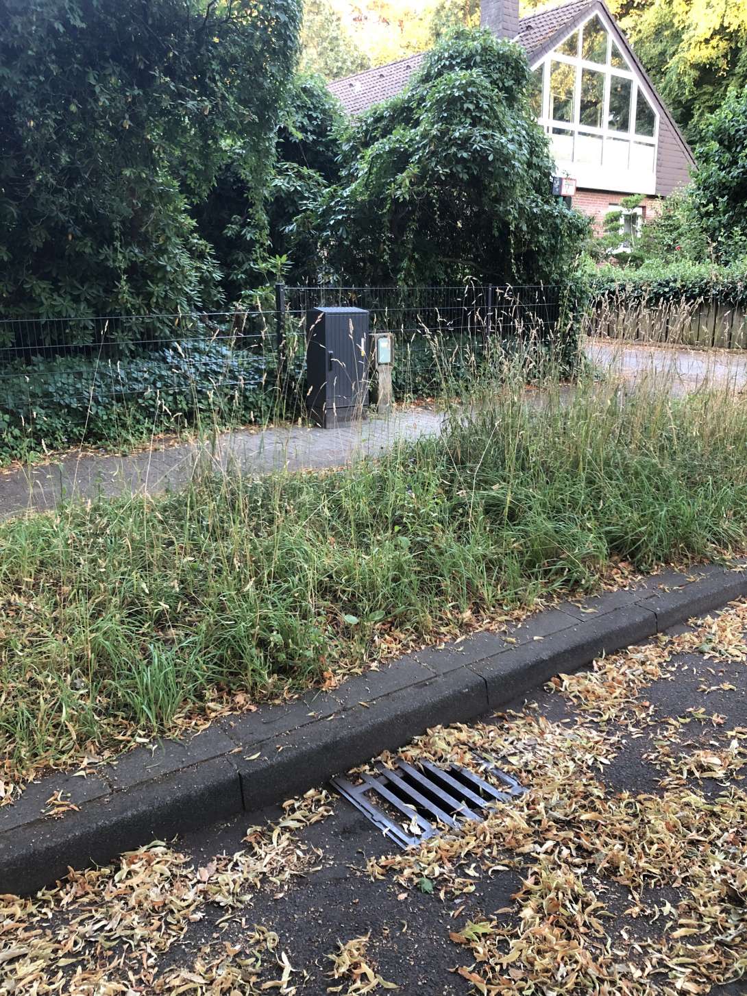 Bild zu gemeldetem Anliegen vom *2025-07-03 21:33:27