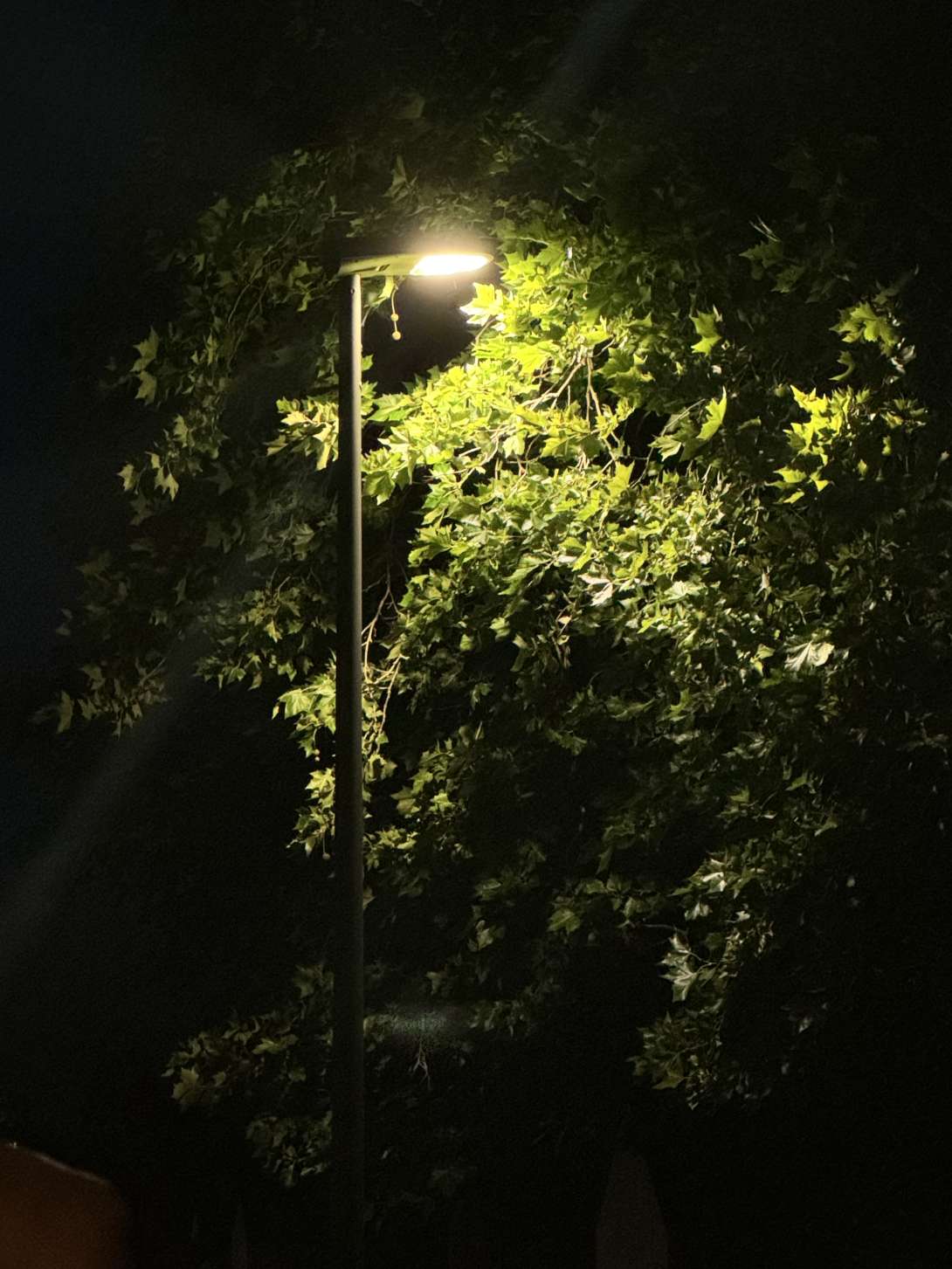 Bild zu gemeldetem Anliegen vom *2025-07-18 21:29:38