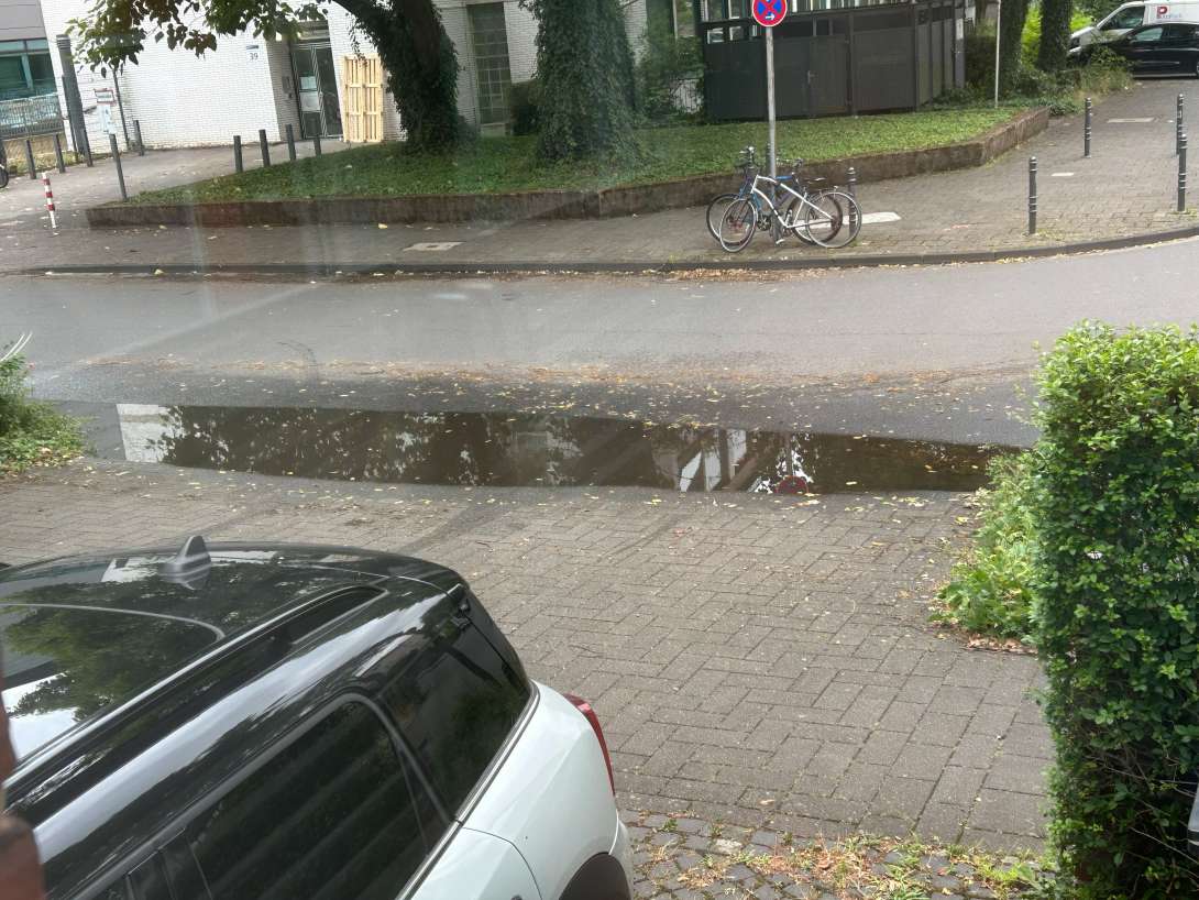 Bild zu gemeldetem Anliegen vom *2025-07-07 15:27:23