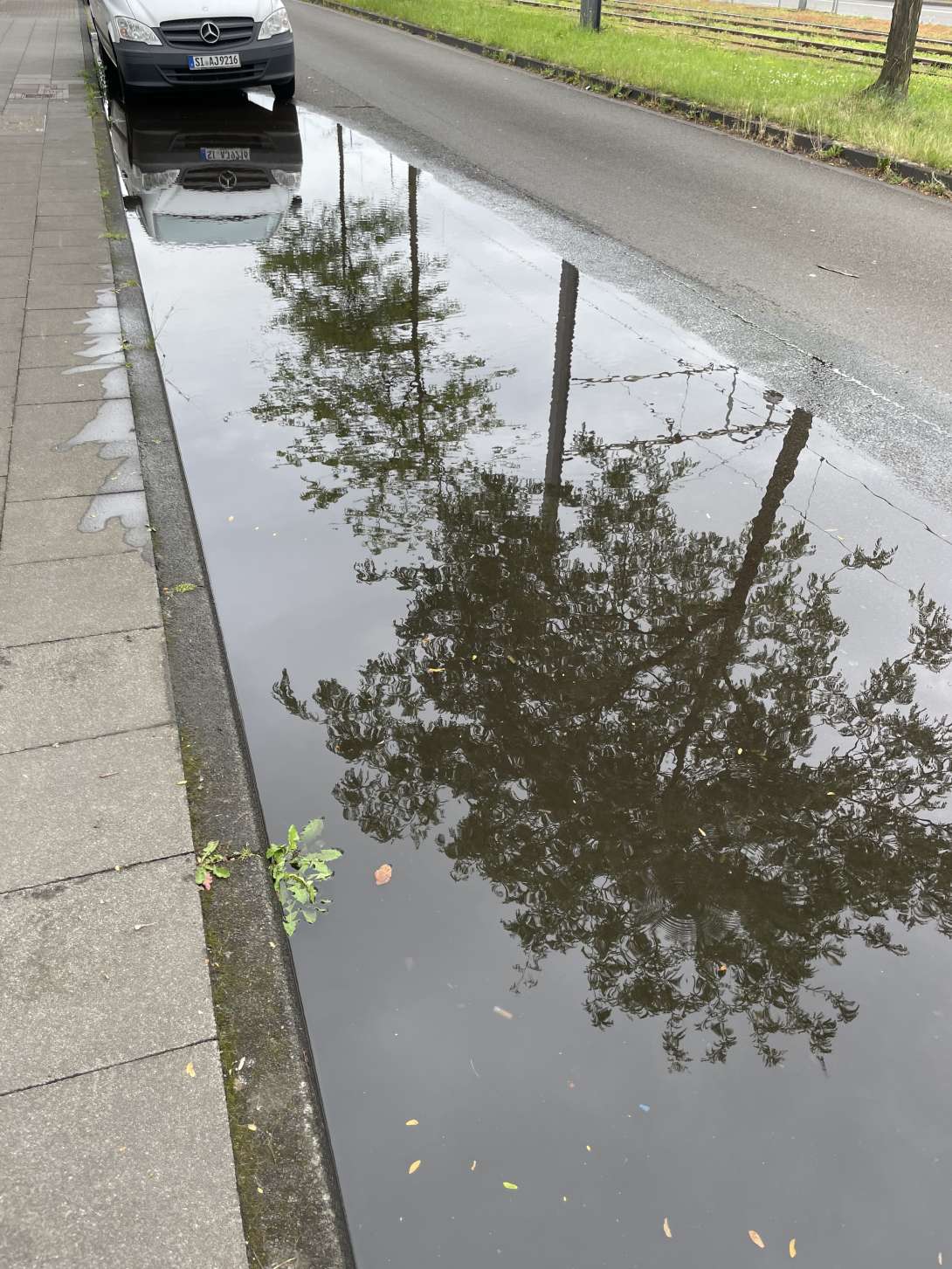 Bild zu gemeldetem Anliegen vom *2025-07-11 18:29:39