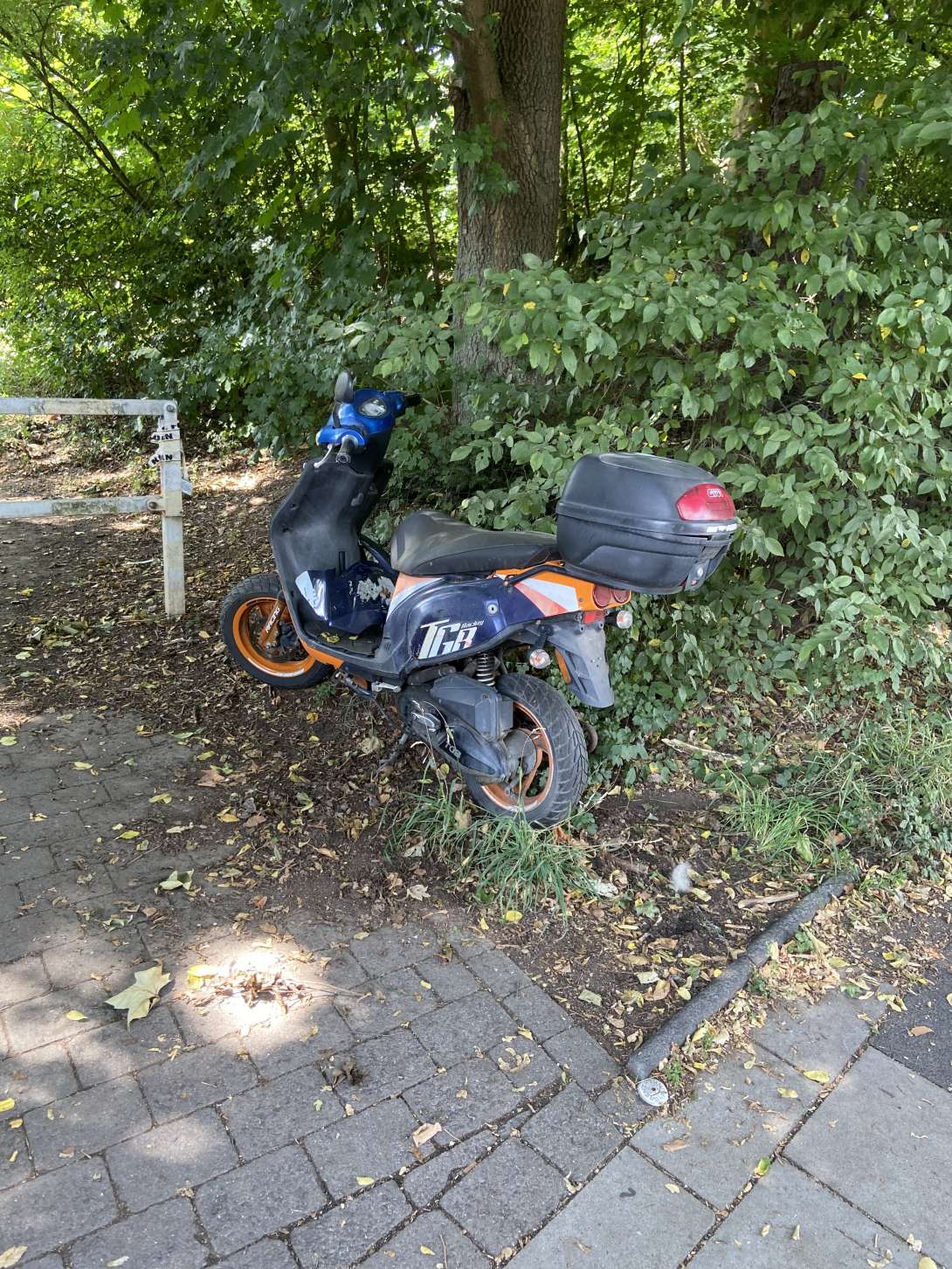 Bild zu gemeldetem Anliegen vom *2025-07-10 12:30:35