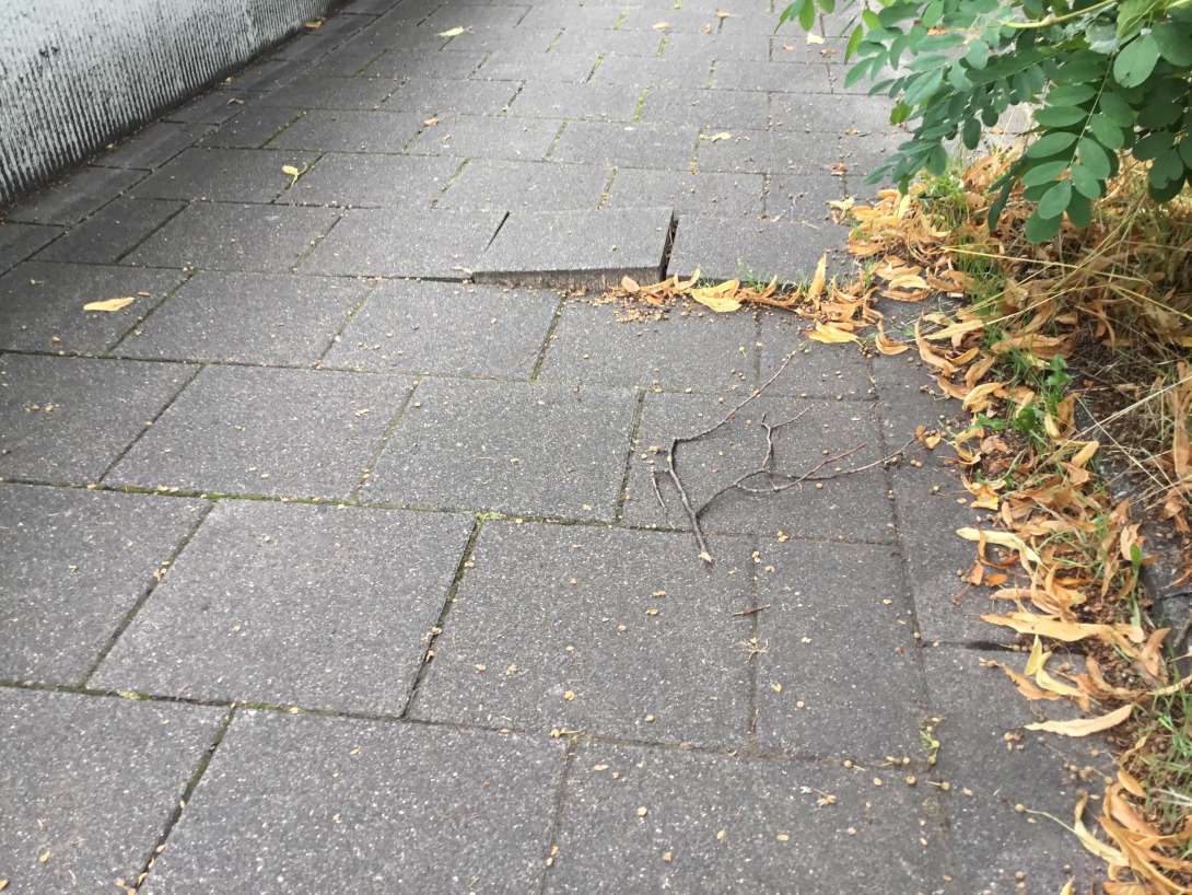 Bild zu gemeldetem Anliegen vom *2025-07-31 12:27:29