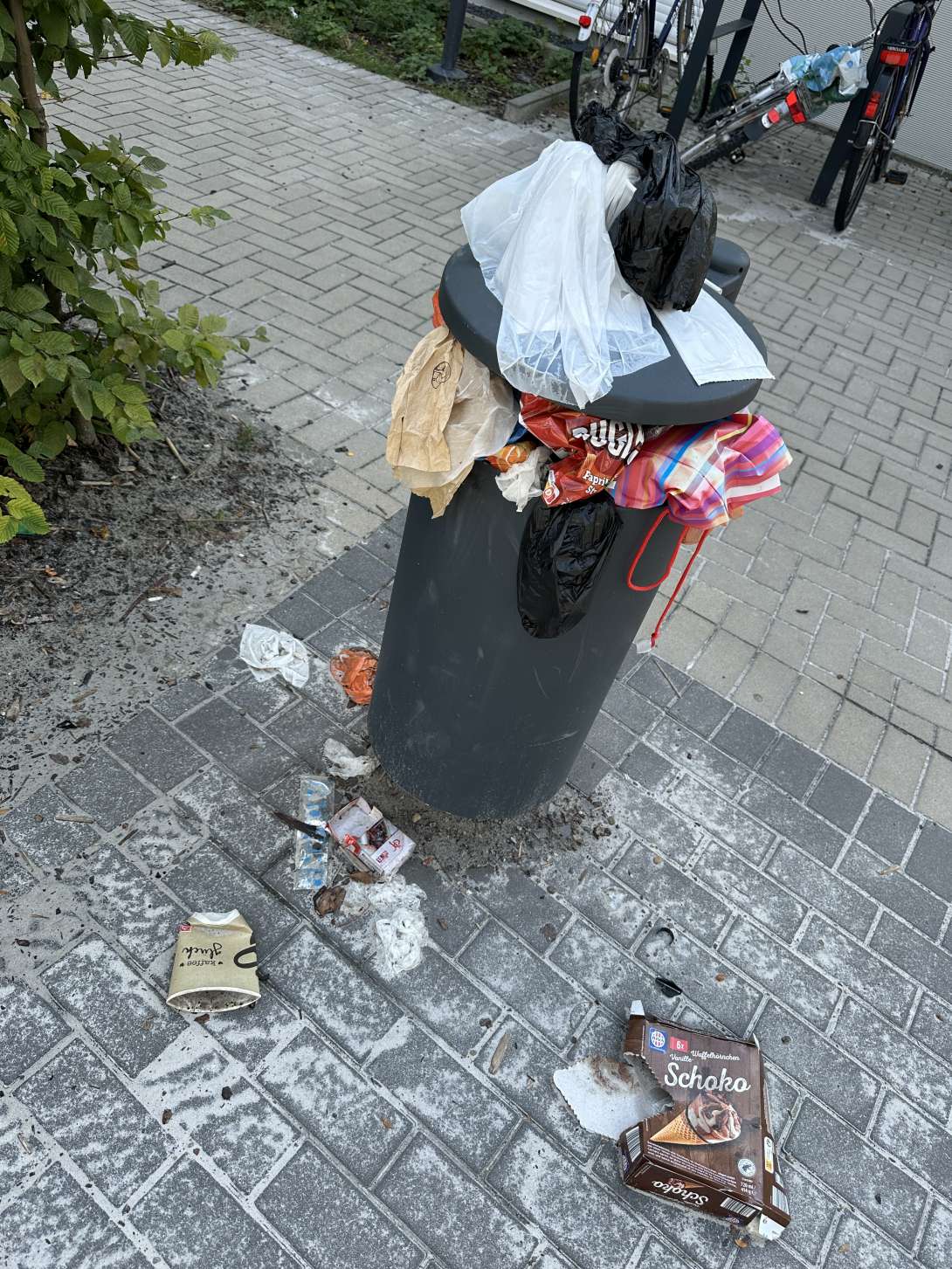 Bild zu gemeldetem Anliegen vom *2025-07-30 19:44:03
