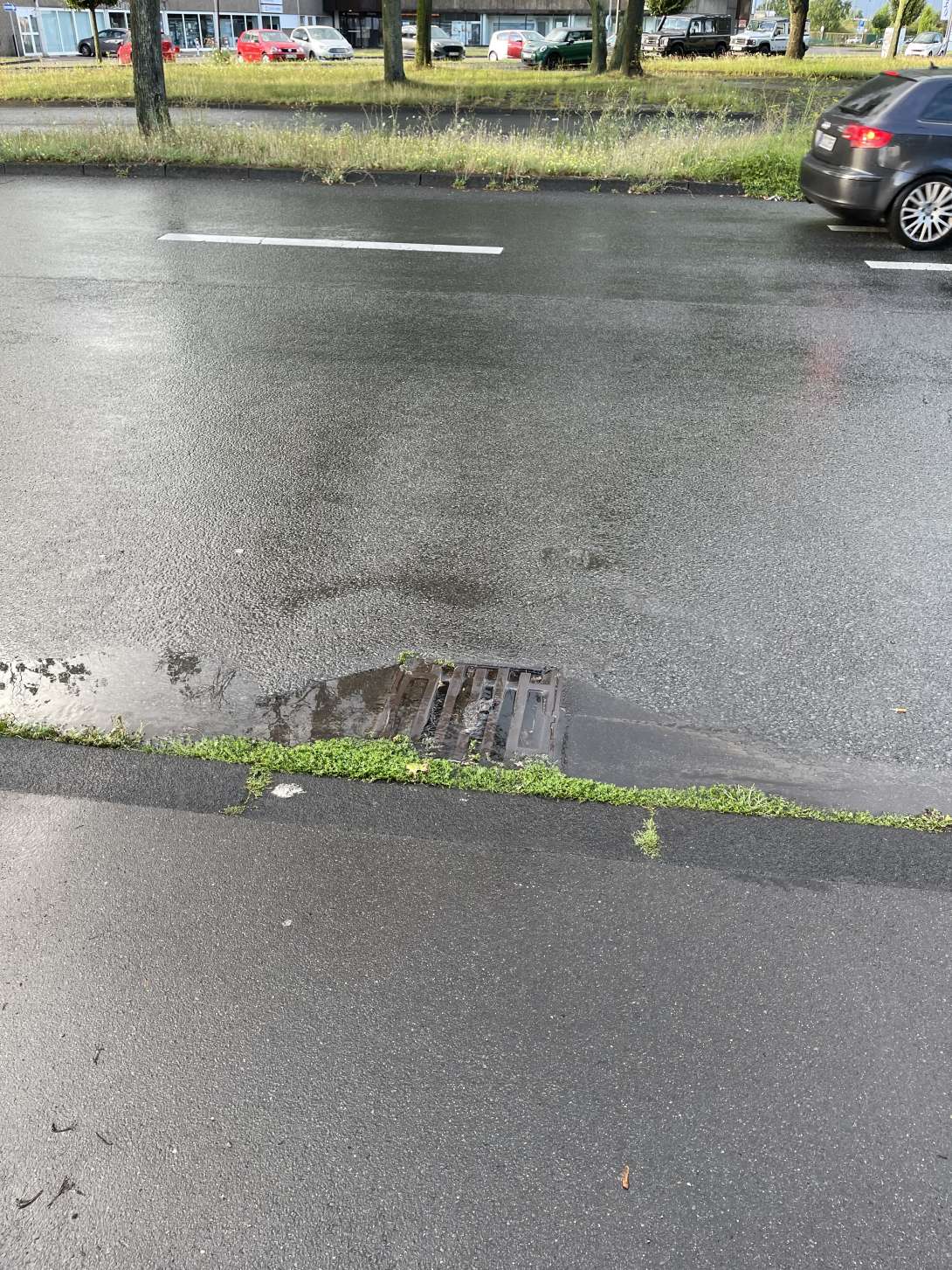 Bild zu gemeldetem Anliegen vom *2025-07-26 15:31:18
