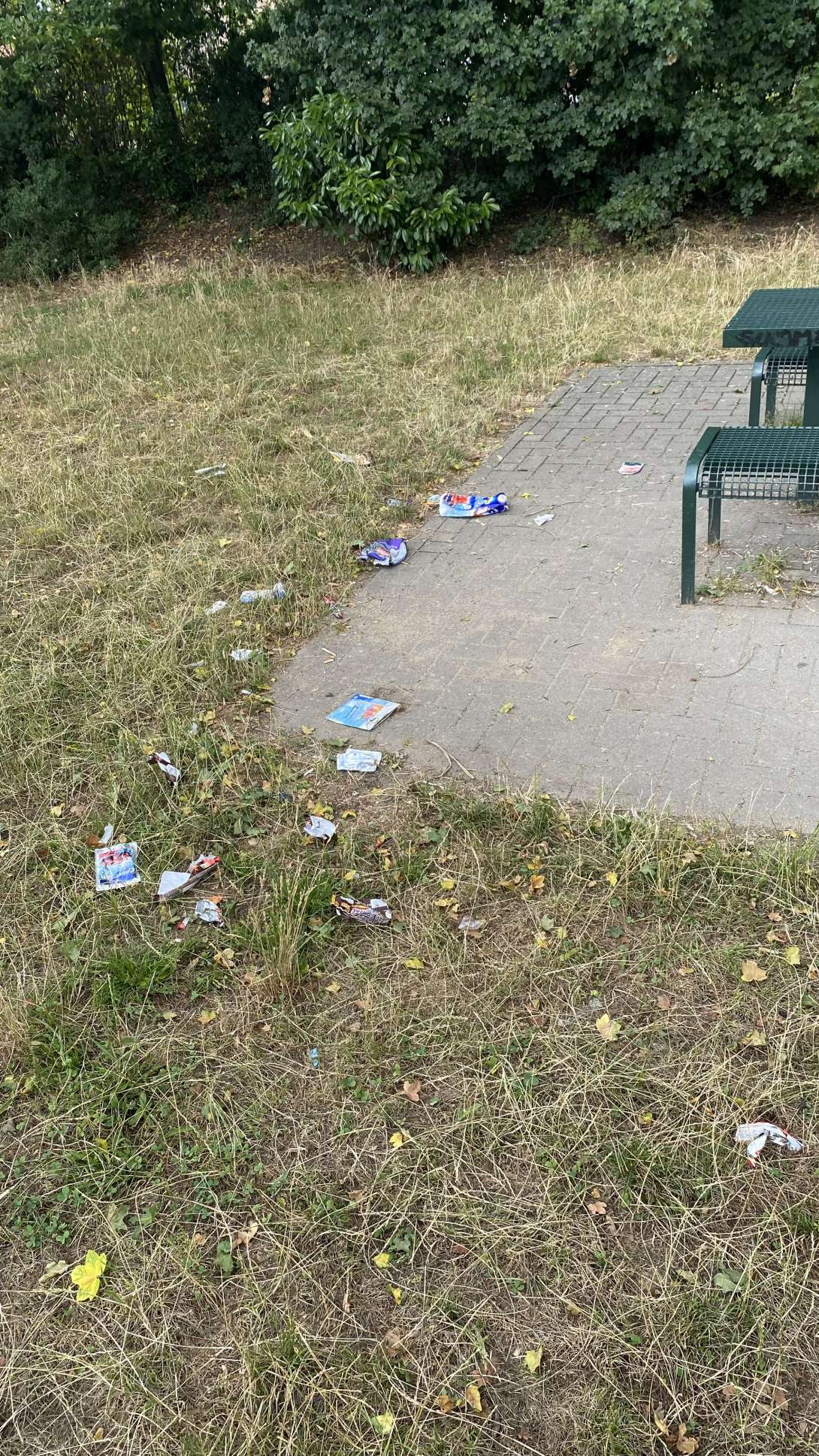 Bild zu gemeldetem Anliegen vom *2025-07-09 13:26:48