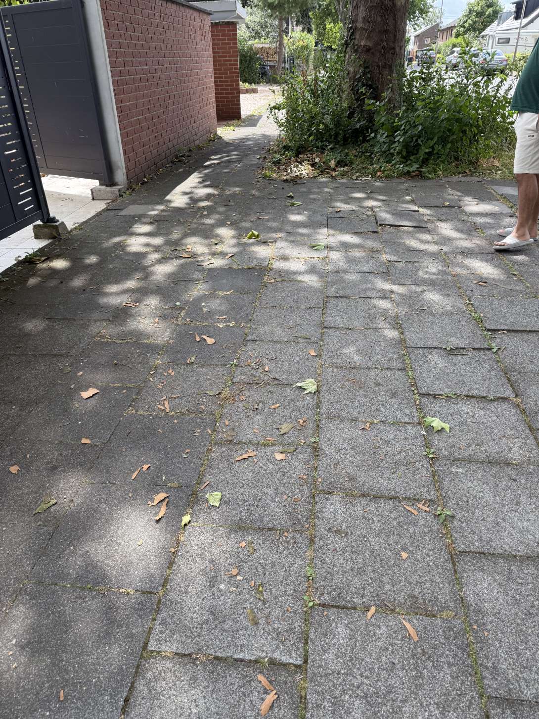 Bild zu gemeldetem Anliegen vom *2025-07-17 15:28:33