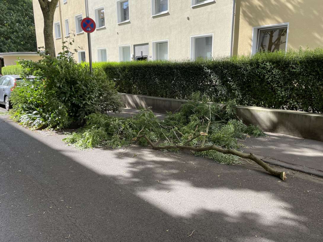 Bild zu gemeldetem Anliegen vom *2025-07-03 10:33:41