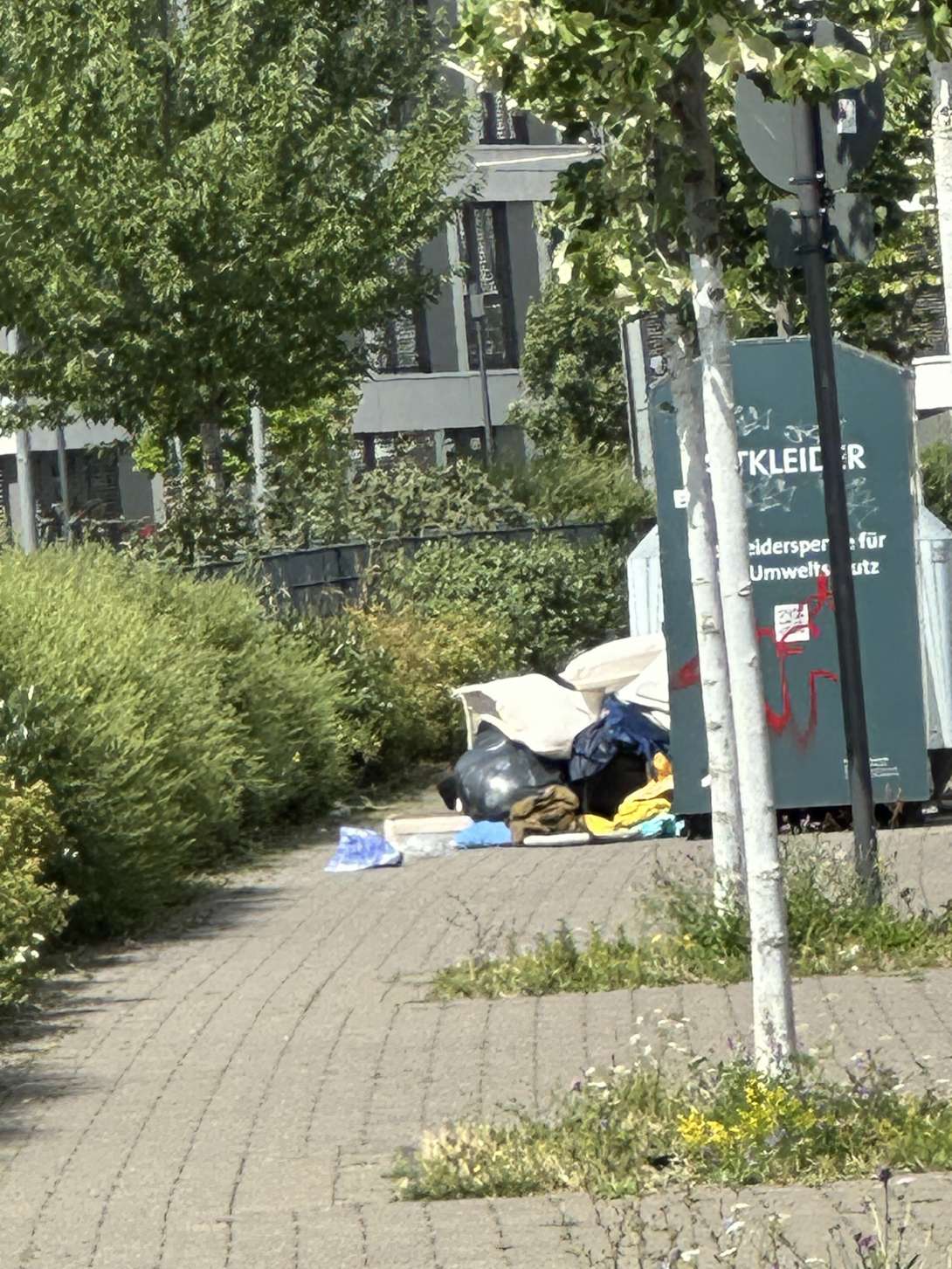 Bild zu gemeldetem Anliegen vom *2025-07-22 12:19:56