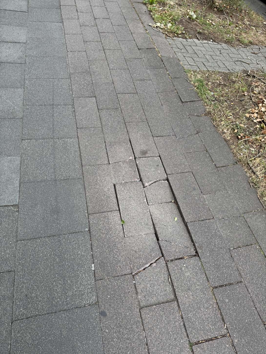 Bild zu gemeldetem Anliegen vom *2025-07-13 09:30:40