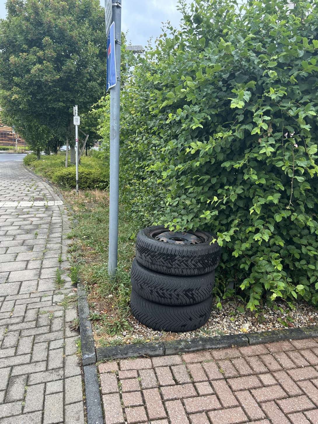 Bild zu gemeldetem Anliegen vom *2025-07-06 14:02:32
