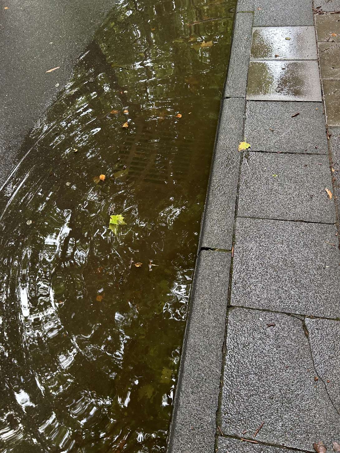 Bild zu gemeldetem Anliegen vom *2025-07-08 19:02:28