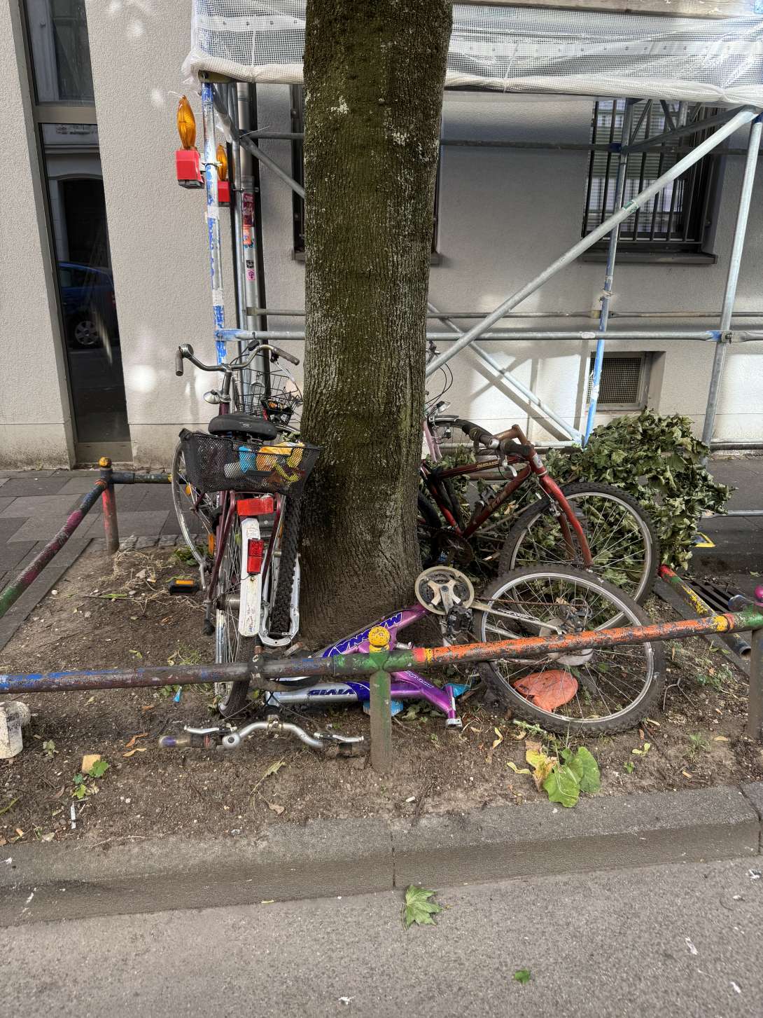 Bild zu gemeldetem Anliegen vom *2025-07-03 09:30:43