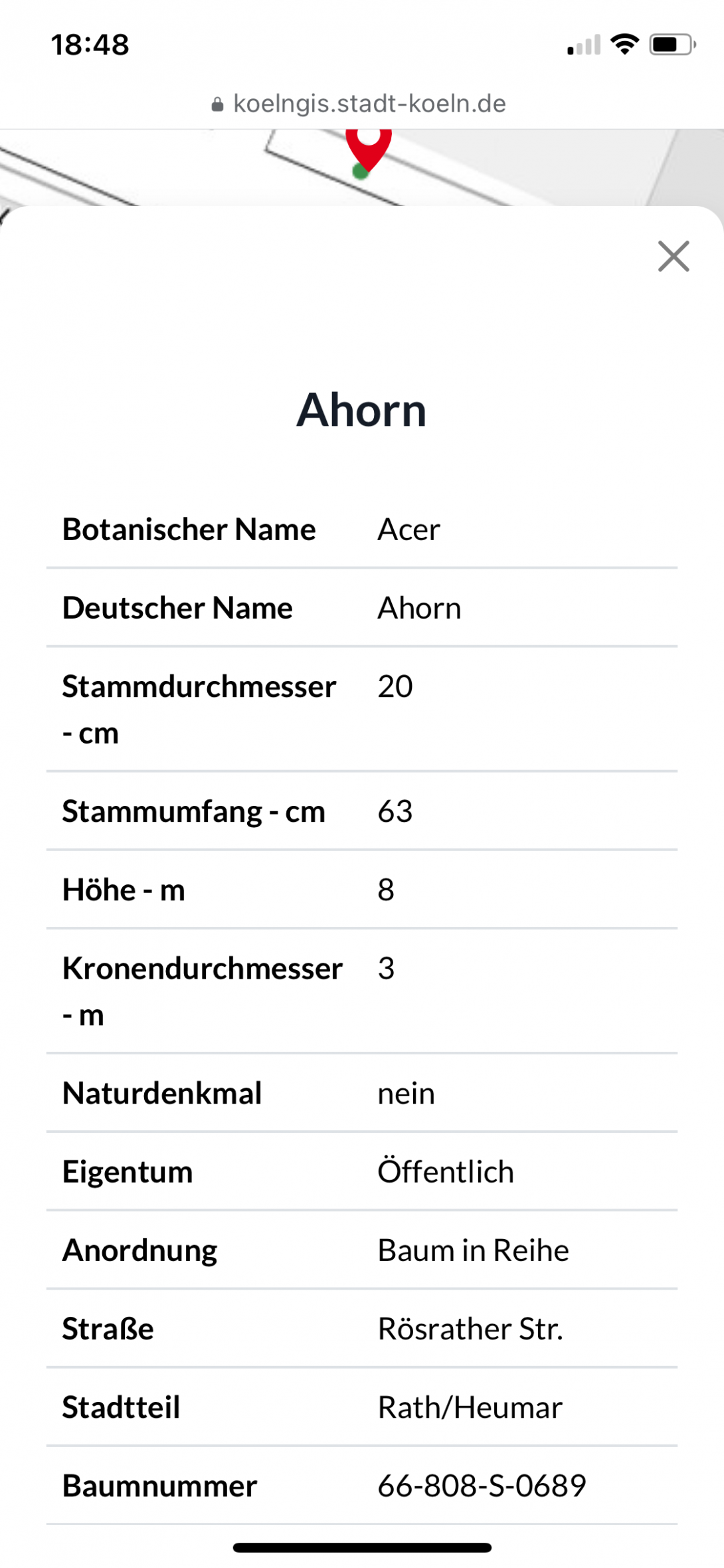 Bild zu gemeldetem Anliegen vom *2025-07-22 19:02:40