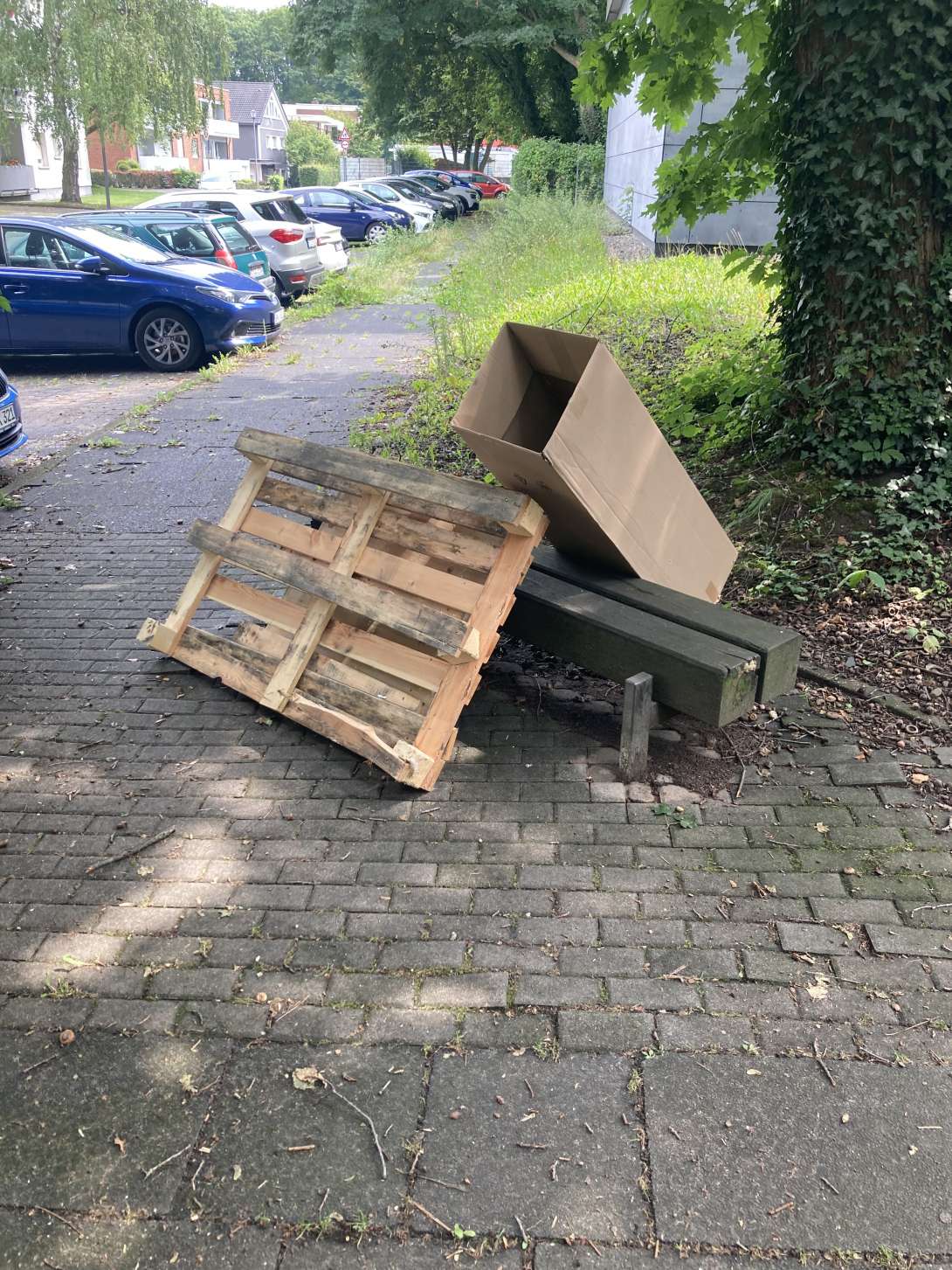 Bild zu gemeldetem Anliegen vom *2025-07-31 18:52:50
