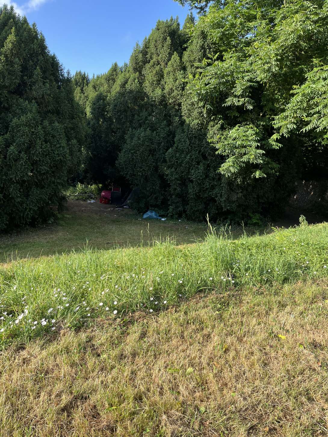 Bild zu gemeldetem Anliegen vom *2025-07-04 18:46:38