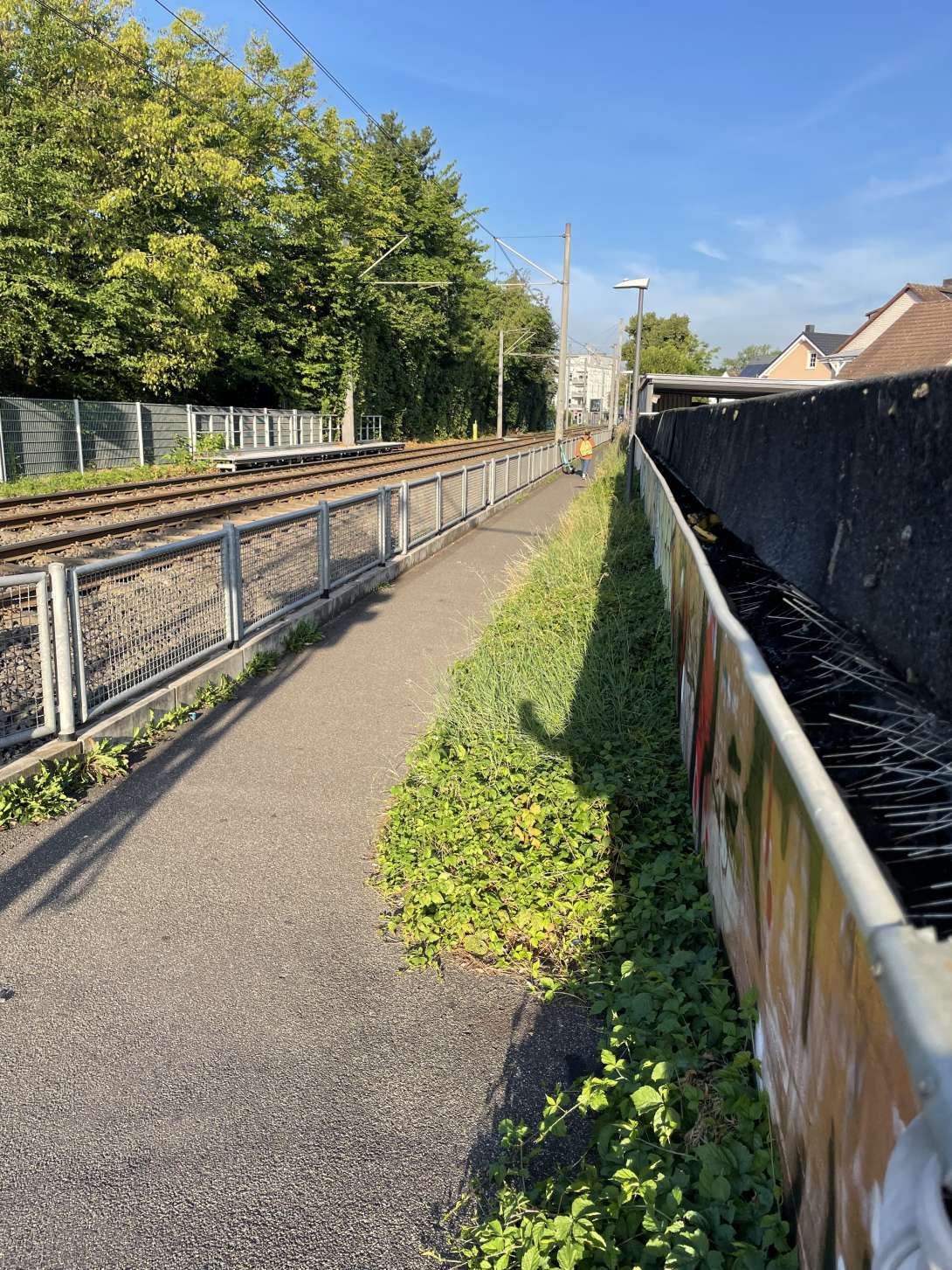 Bild zu gemeldetem Anliegen vom *2025-07-18 06:27:44