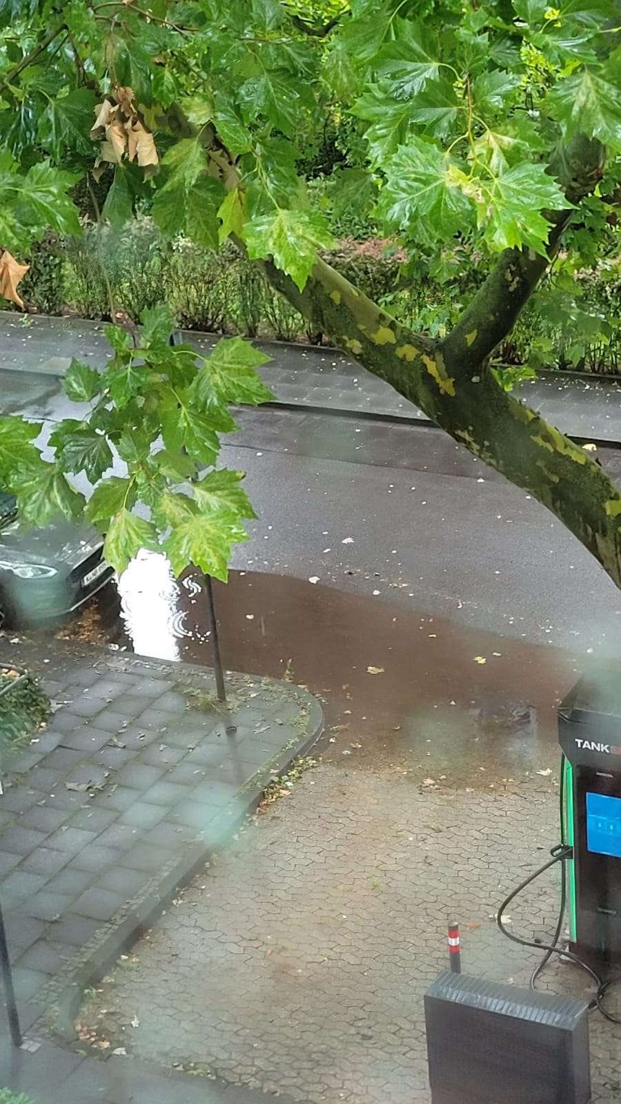 Bild zu gemeldetem Anliegen vom *2025-07-29 16:53:35