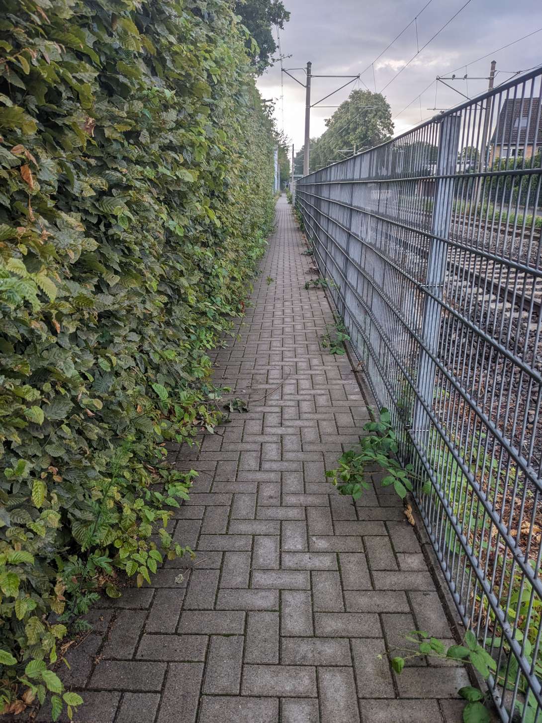 Bild zu gemeldetem Anliegen vom *2025-07-11 12:42:38