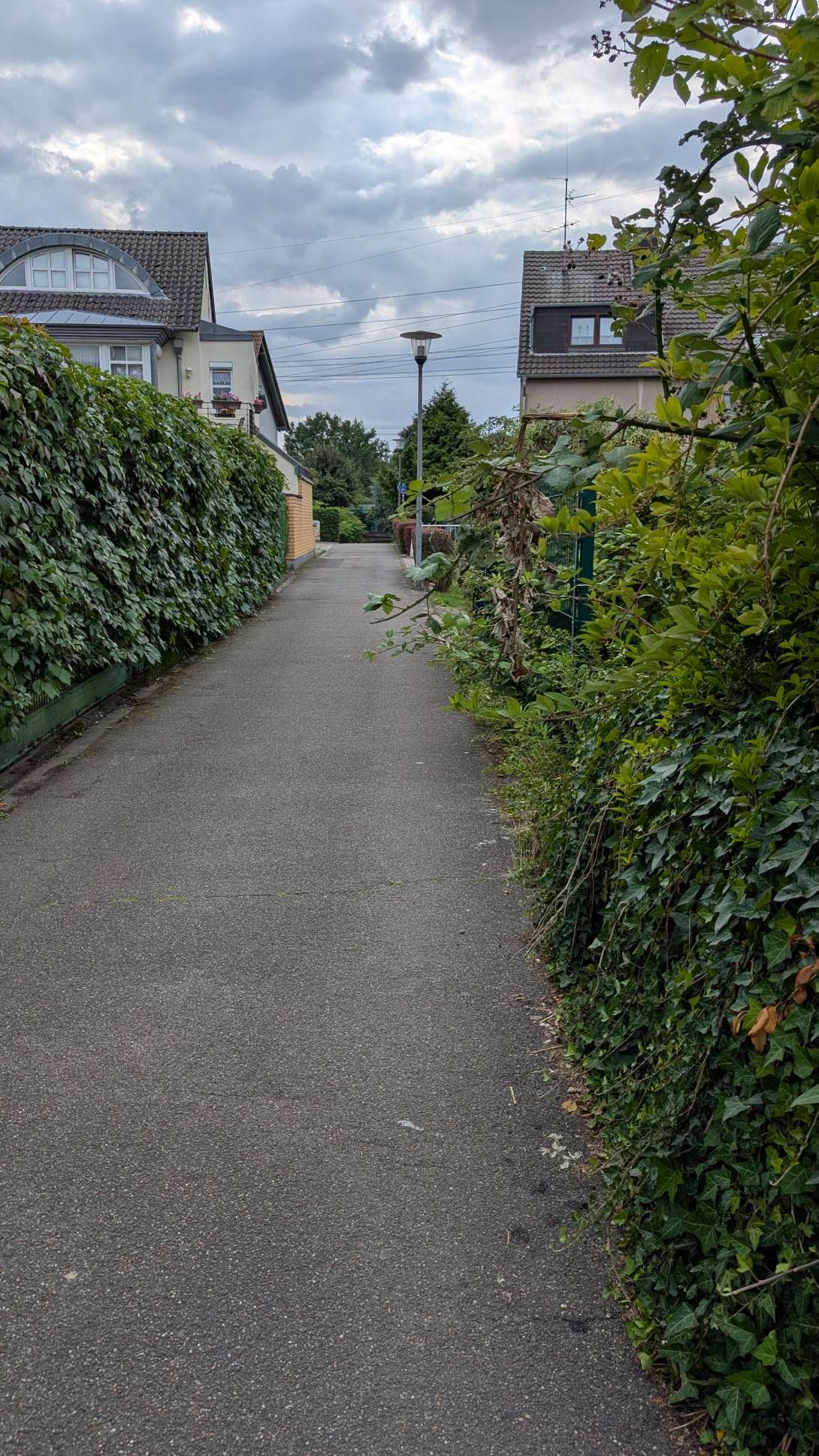 Bild zu gemeldetem Anliegen vom *2025-07-29 22:26:23