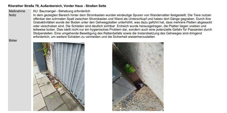 Bild zu gemeldetem Anliegen vom *2025-07-31 12:27:29