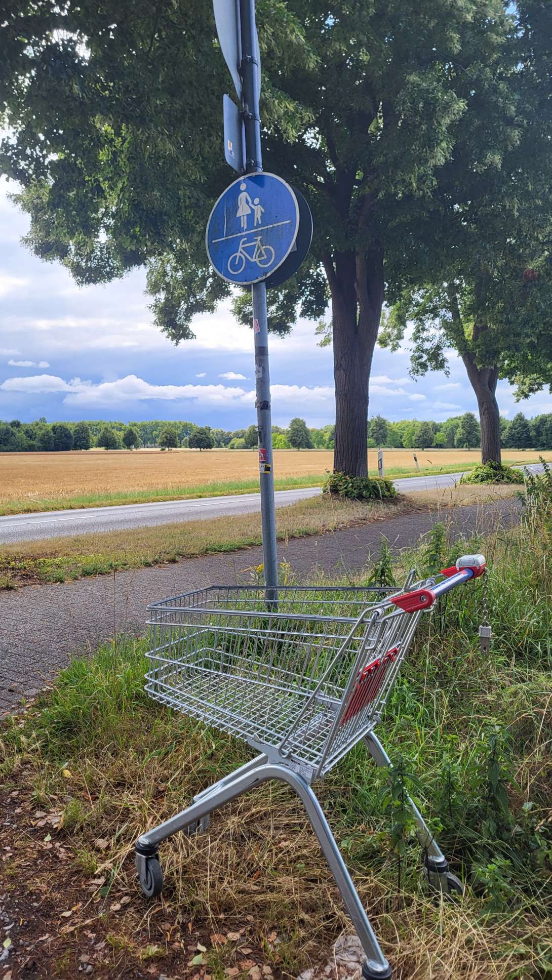 Bild zu gemeldetem Anliegen vom *2025-07-10 08:45:11