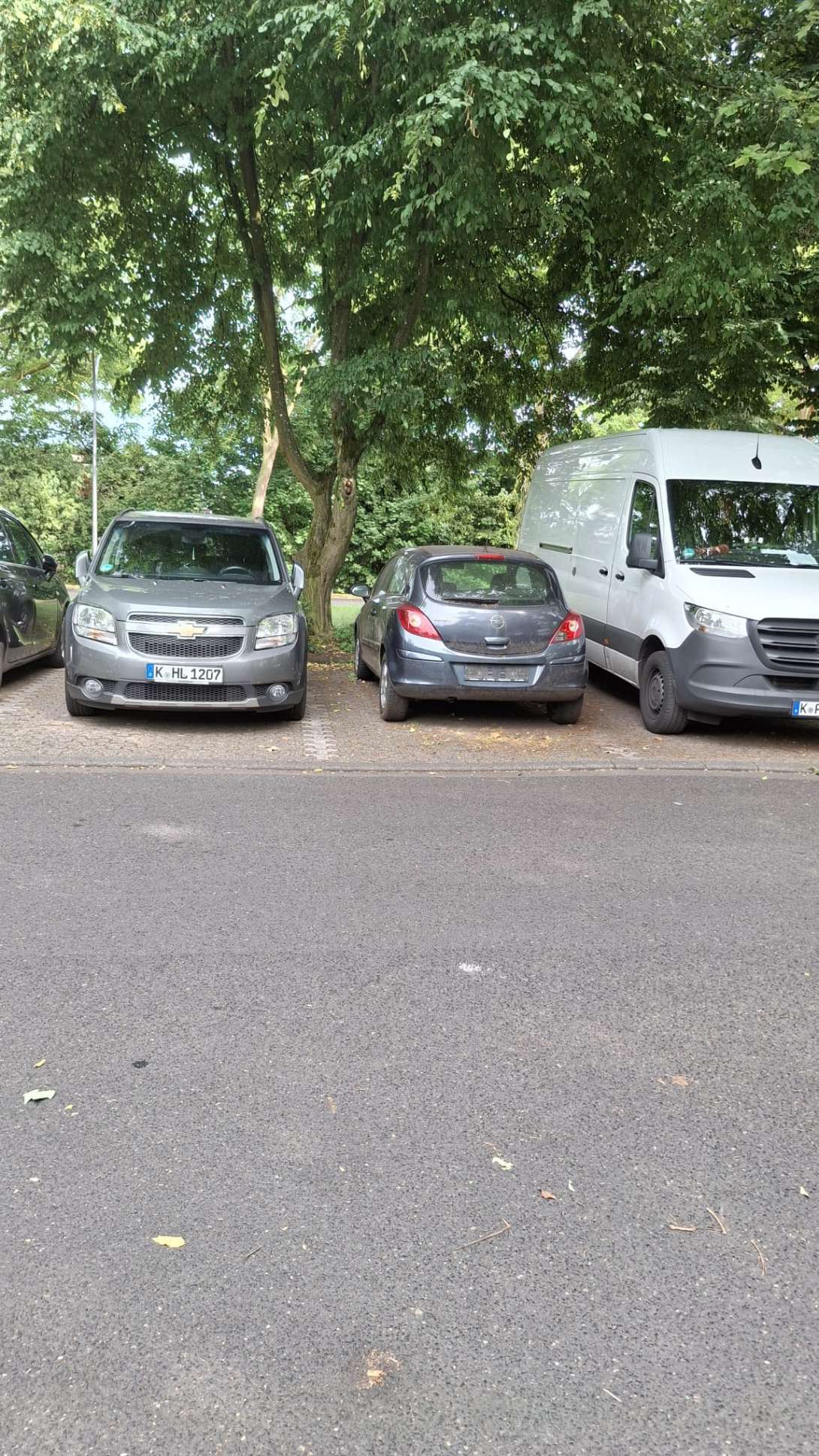 Bild zu gemeldetem Anliegen vom *2025-07-11 15:33:25