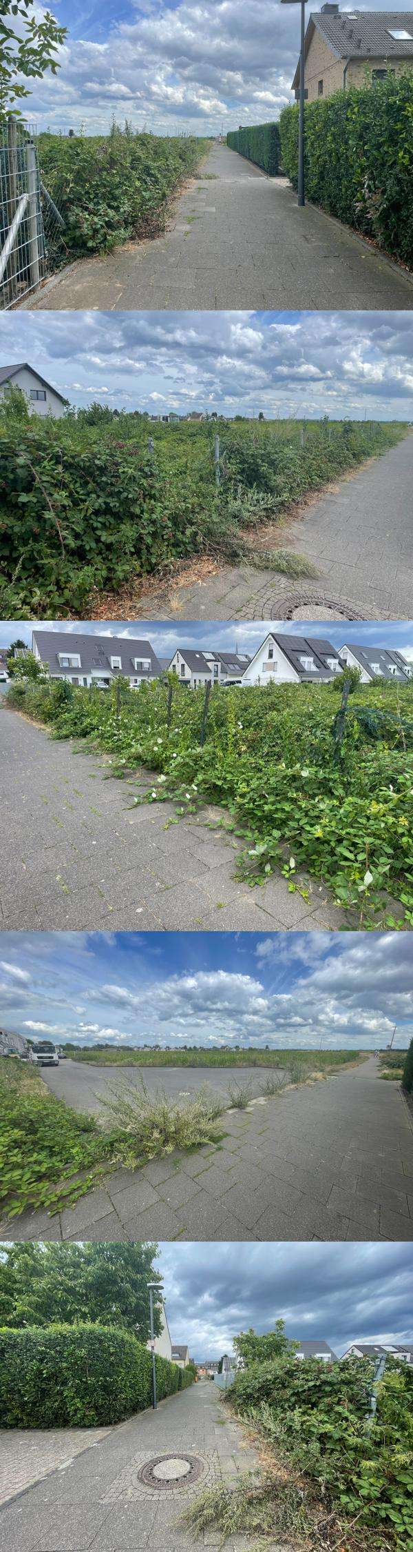 Bild zu gemeldetem Anliegen vom *2025-07-21 15:32:42