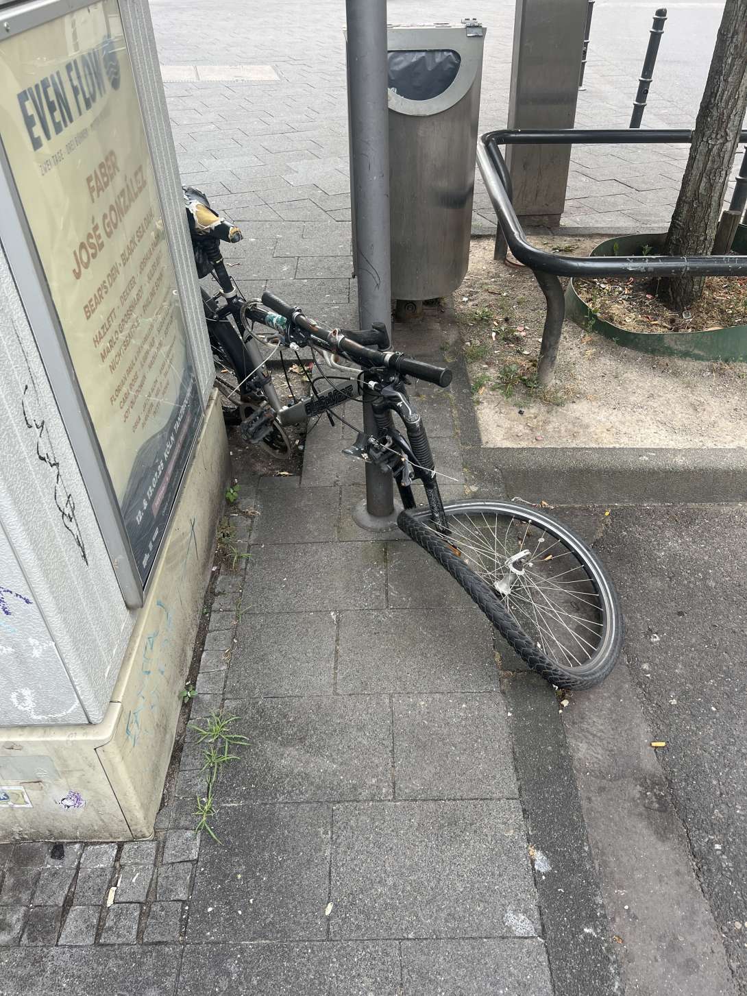 Bild zu gemeldetem Anliegen vom *2025-07-05 09:29:48