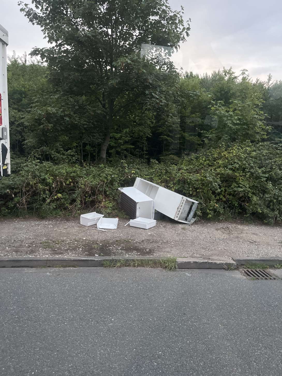 Bild zu gemeldetem Anliegen vom *2025-07-28 21:35:04