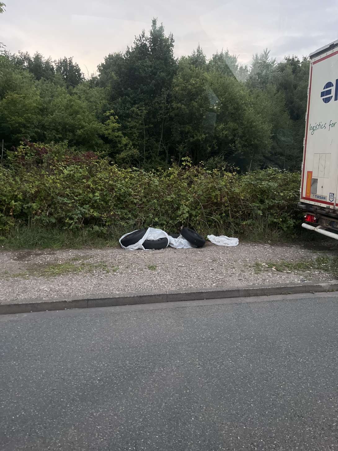 Bild zu gemeldetem Anliegen vom *2025-07-28 21:35:58