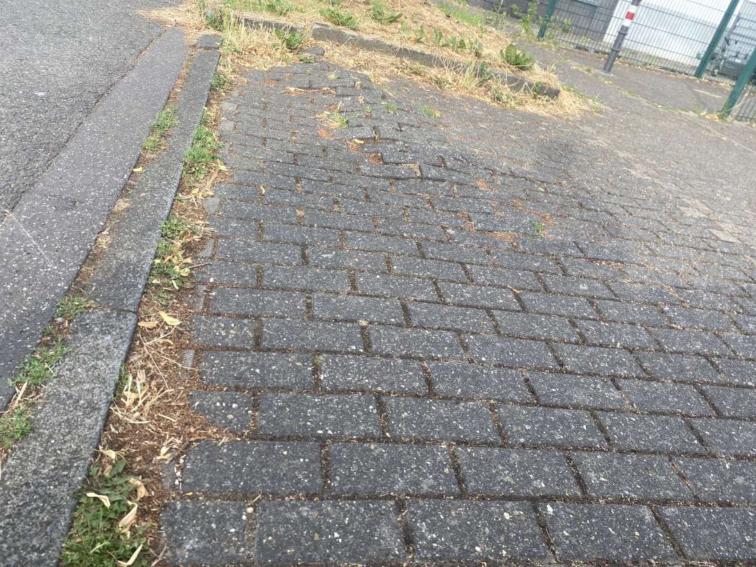Bild zu gemeldetem Anliegen vom *2025-07-12 18:35:24