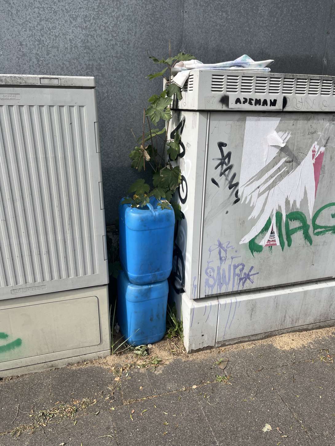 Bild zu gemeldetem Anliegen vom *2025-07-04 17:33:59