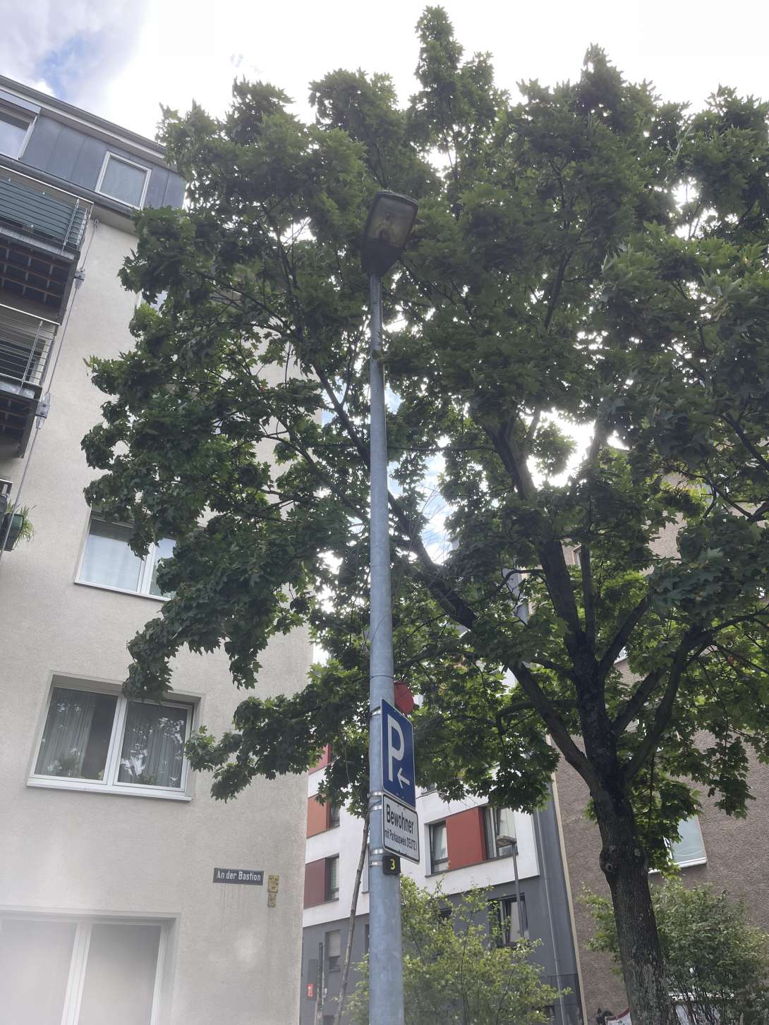 Bild zu gemeldetem Anliegen vom *2025-07-16 09:32:51