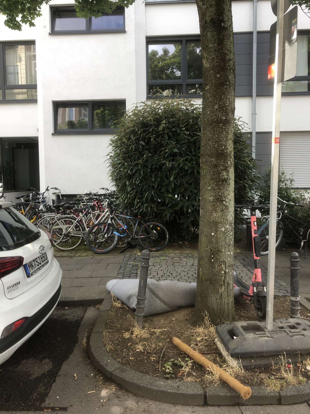 Bild zu gemeldetem Anliegen vom *2025-07-17 15:13:52